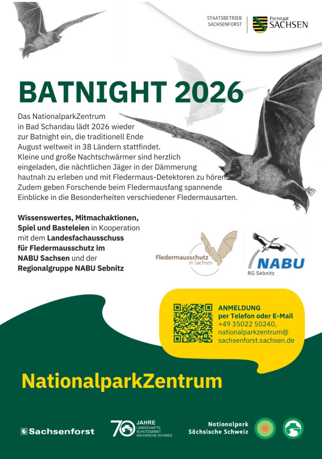 Batnight Programm