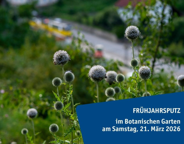 Frühjahrsputz Botanischer Garten 2026